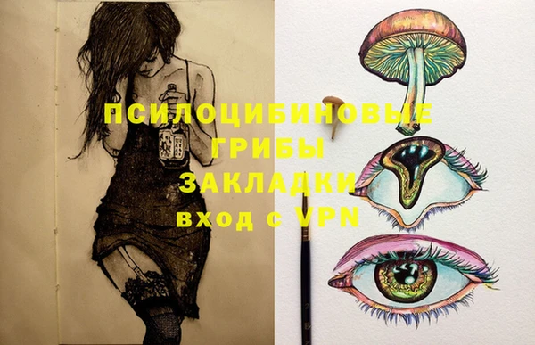 гидра Баксан