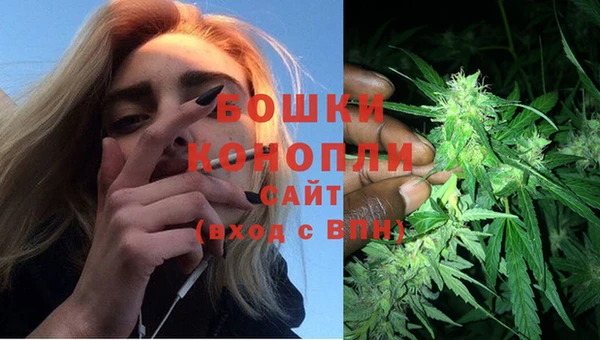 гидра Баксан