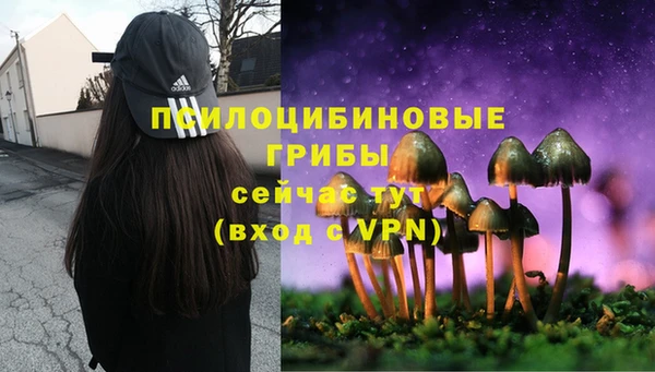 гидра Баксан