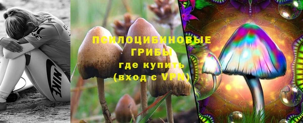 2c-b Сатка