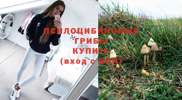 гидра Баксан