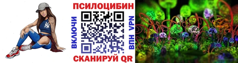 kraken сайт  Светогорск  Галлюциногенные грибы Magic Shrooms 